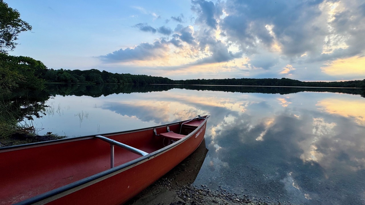 Photo of Others in Cotuit