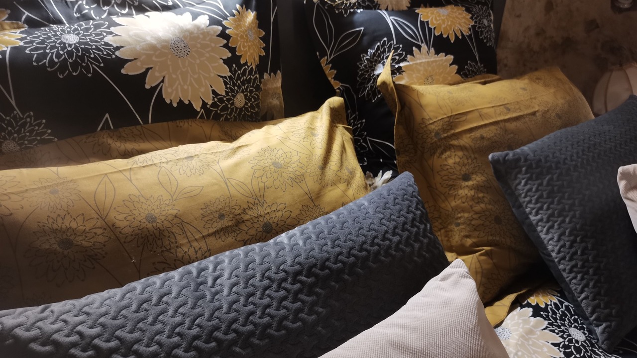 Photo of Others in Troo