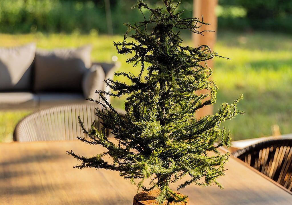 Photo of Outdoor in Jasper County