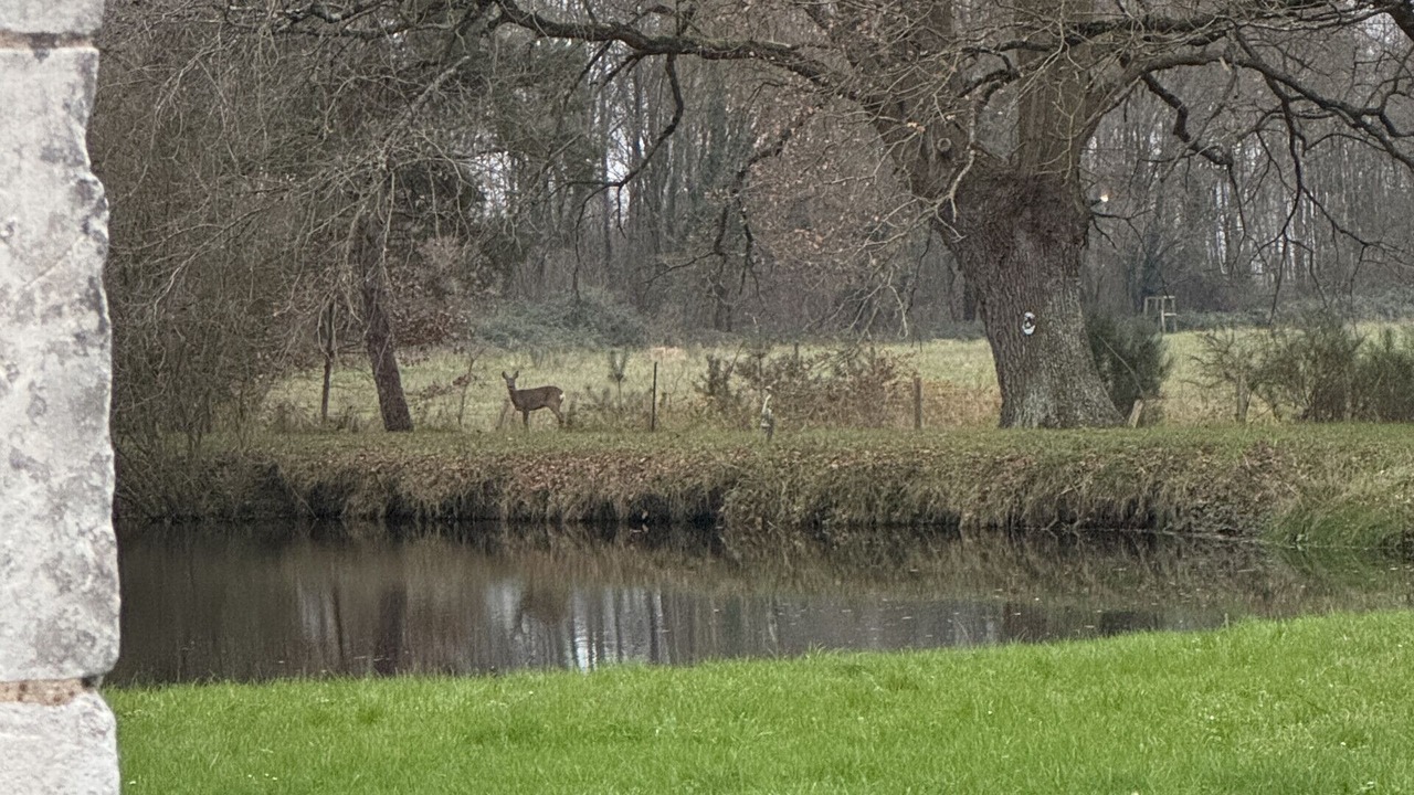 Photo of Others in Aubigne-Racan