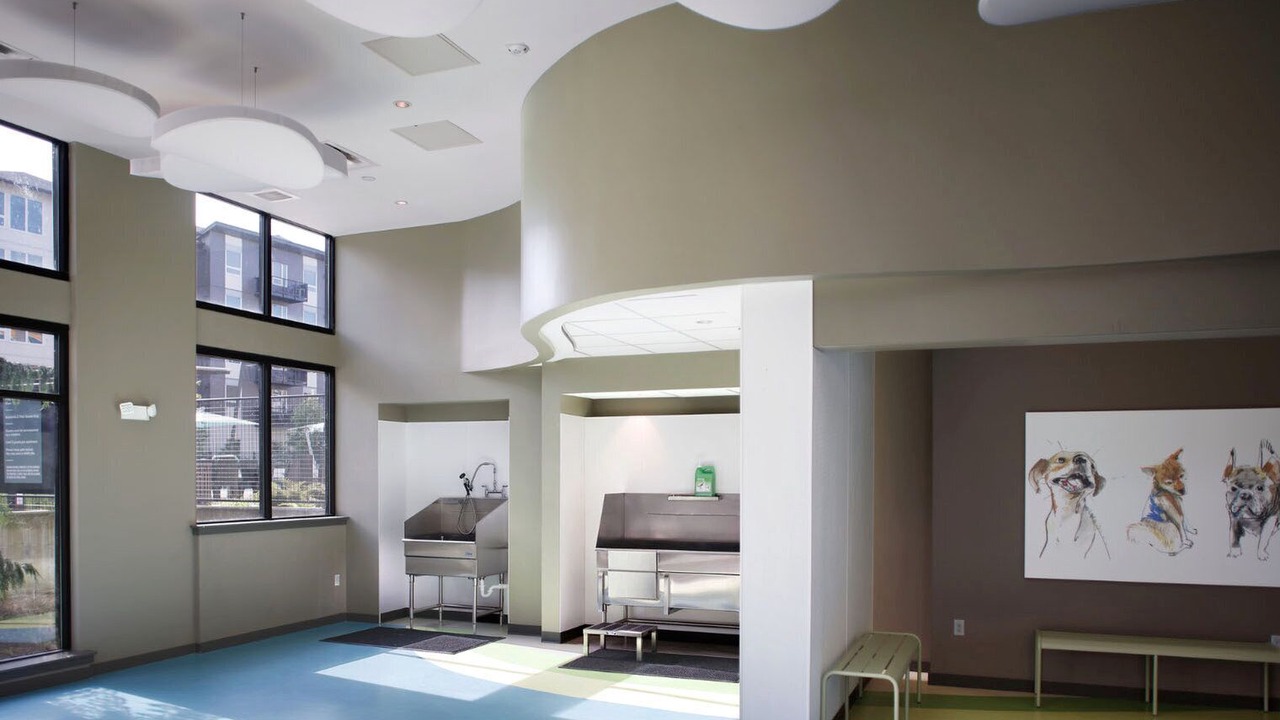 Photo of Others in Newcastle