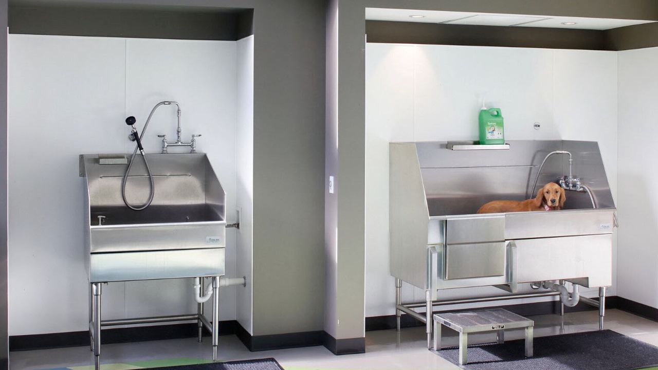 Photo of Others in Newcastle