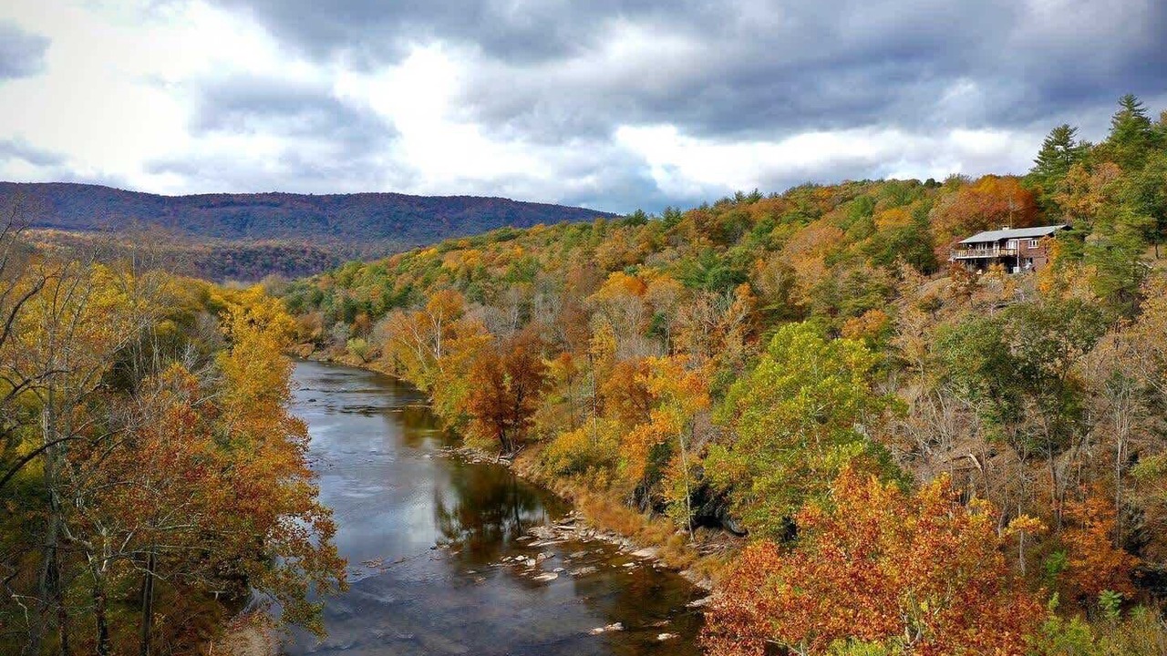 Photo of Others in Great Cacapon