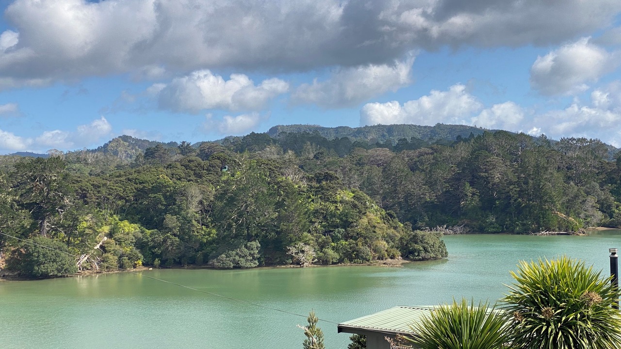 Photo of Others in Whangaroa