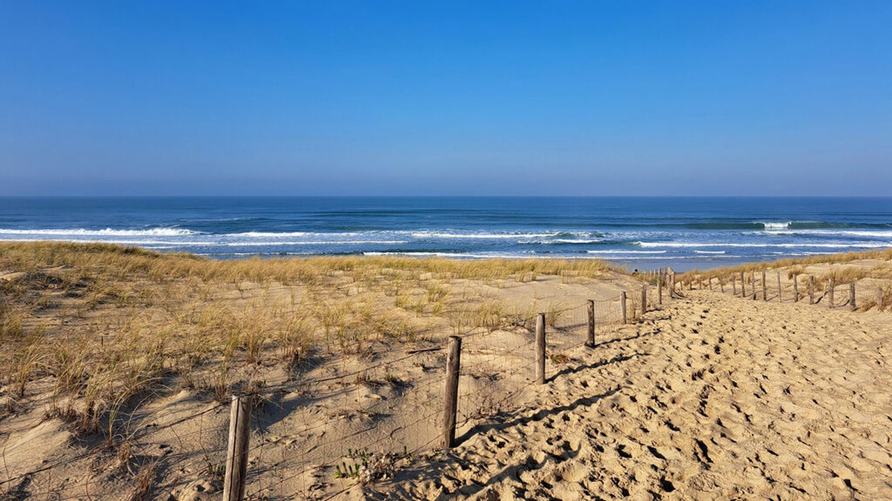 Photo of Others in Talais