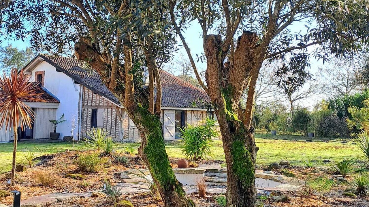 Photo of Outdoor in Castets