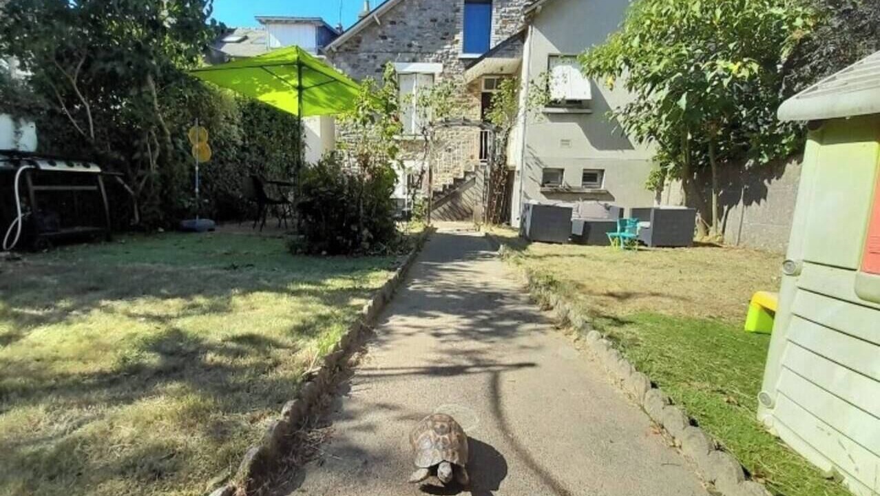 Photo of Outdoor in Sainte-Therese - Quineleu