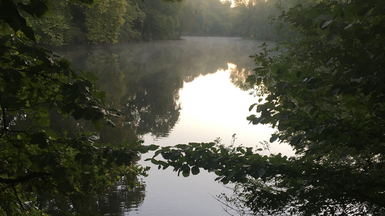 Photo of Others in Clisson