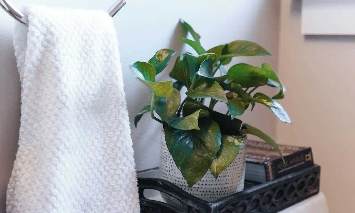 Photo of Bathroom in Off Broadway