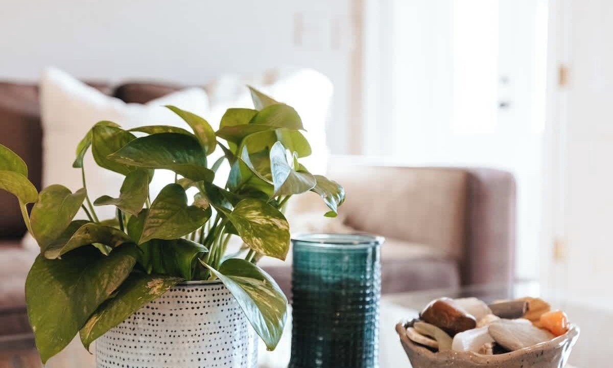 Photo of Others in Off Broadway