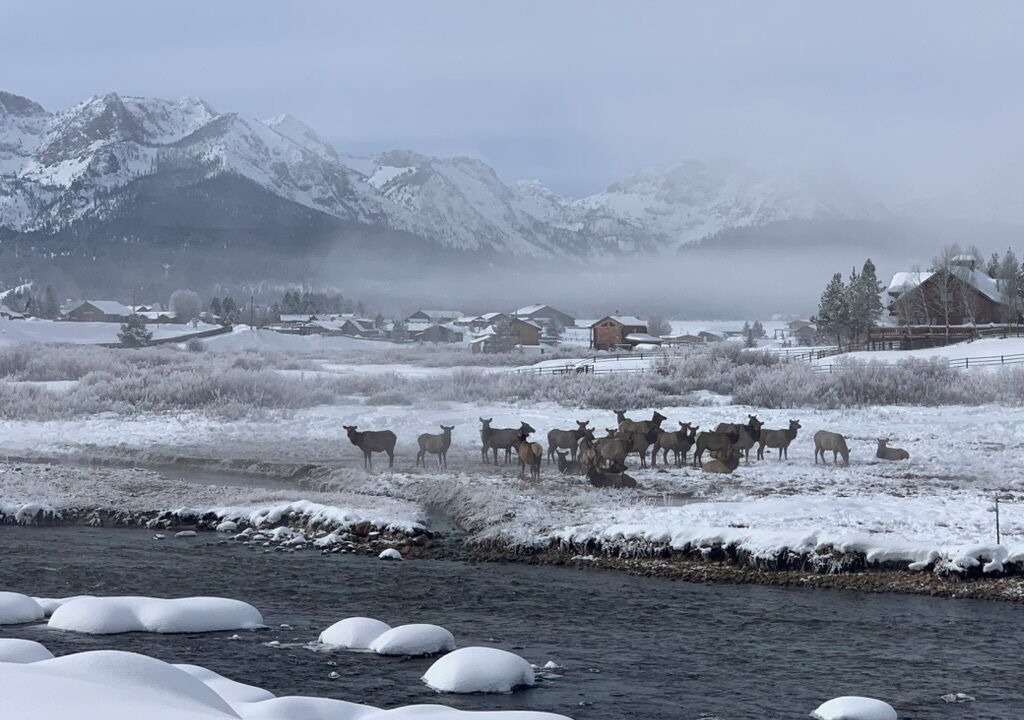 Photo of Others in Stanley