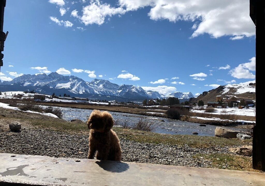 Photo of Others in Stanley