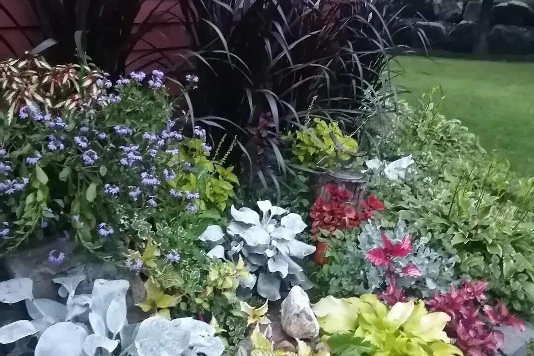 Photo of Outdoor in Knowlton