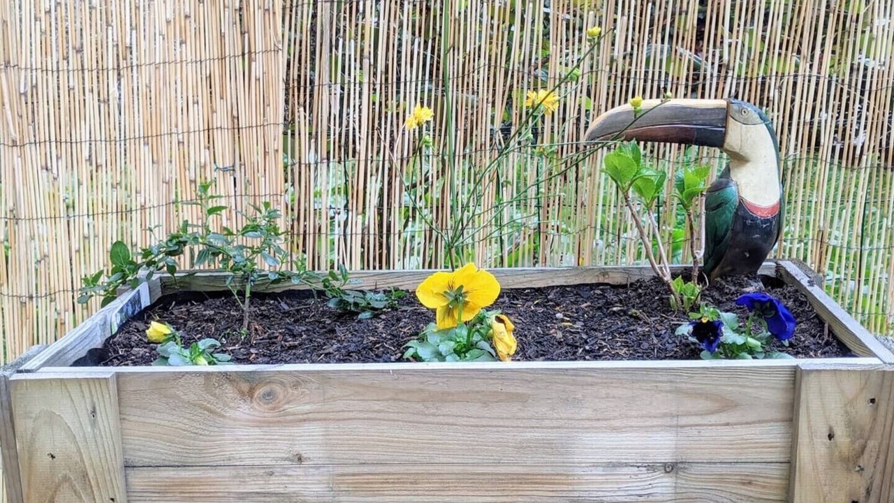 Photo of Others in Colombier - Champ de Mars