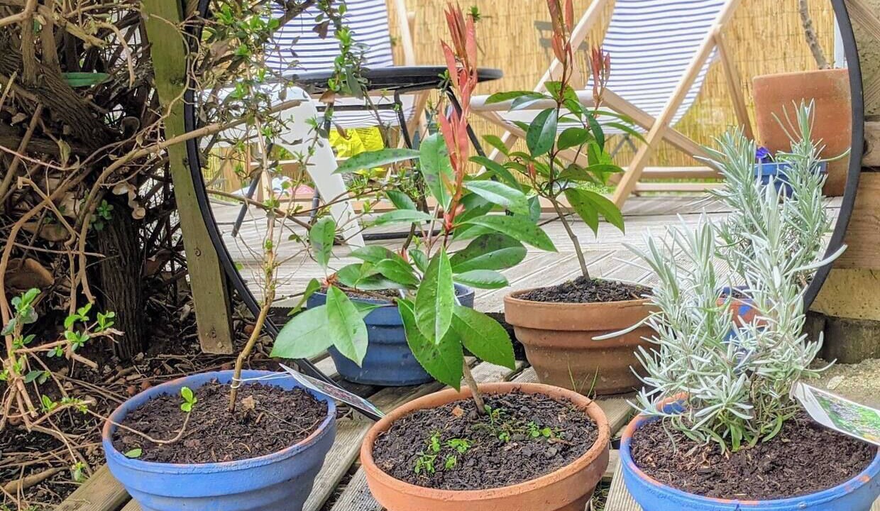 Photo of Others in Colombier - Champ de Mars