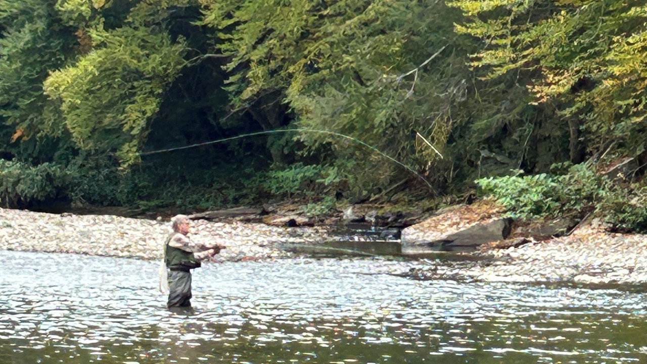 Photo of Others in Wellsboro