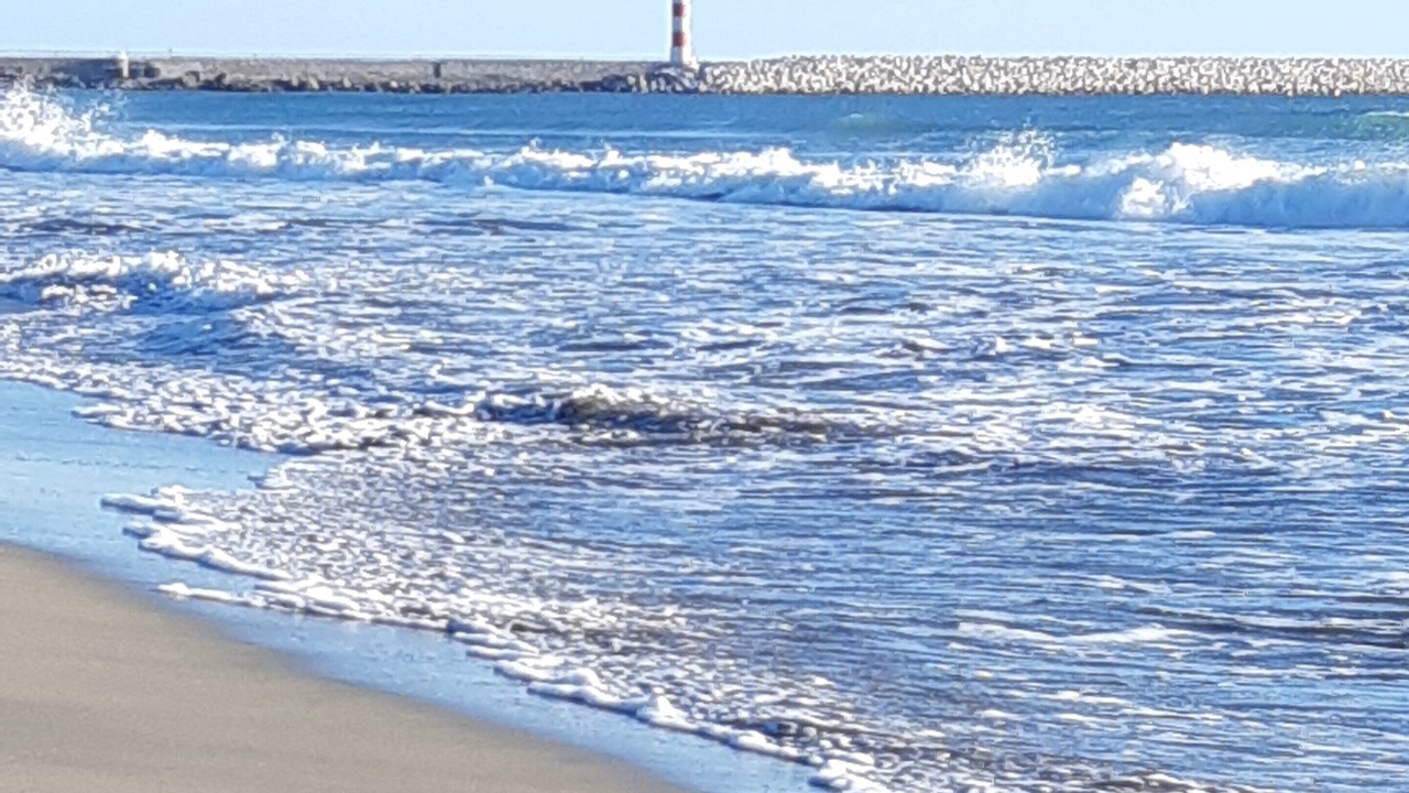 Photo of Others in Port-la-Nouvelle
