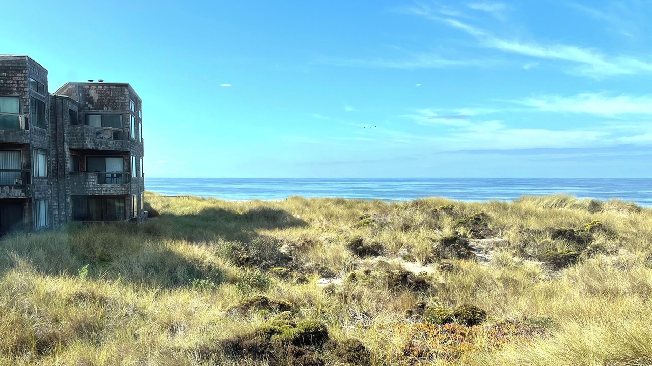 Photo of Others in Pajaro Dunes