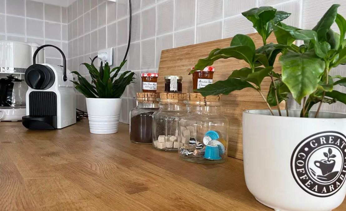 Photo of Others in Dinan