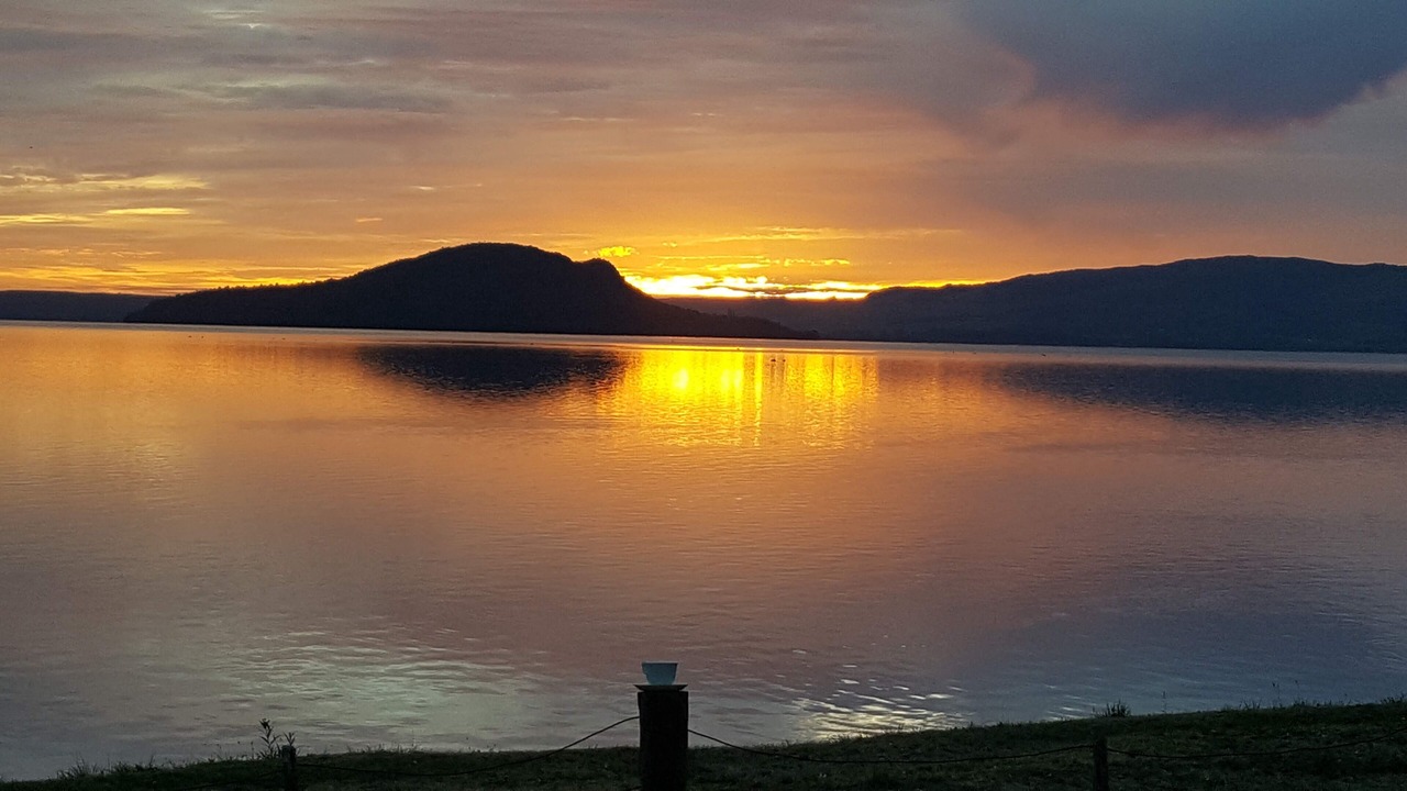 Photo of Others in Ngongotaha