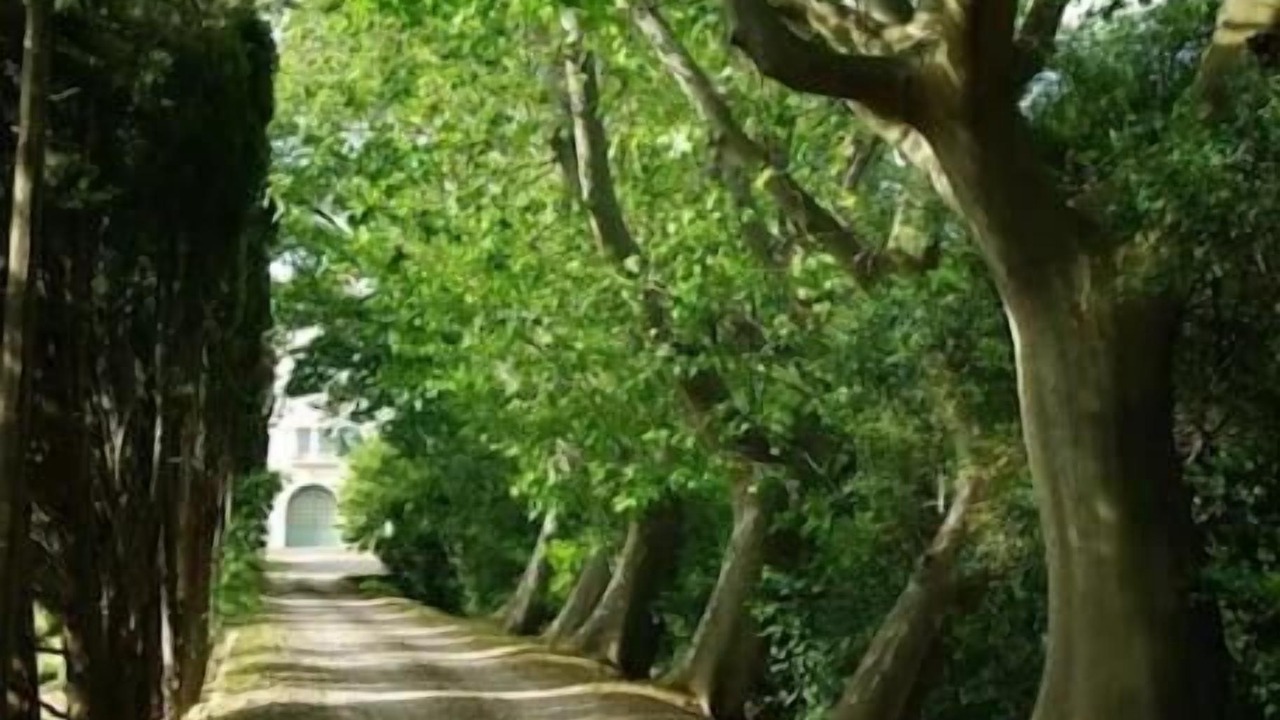 Photo of Outdoor in Azille