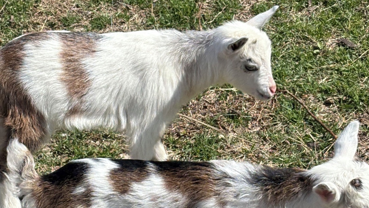 Photo of Others in McKinney