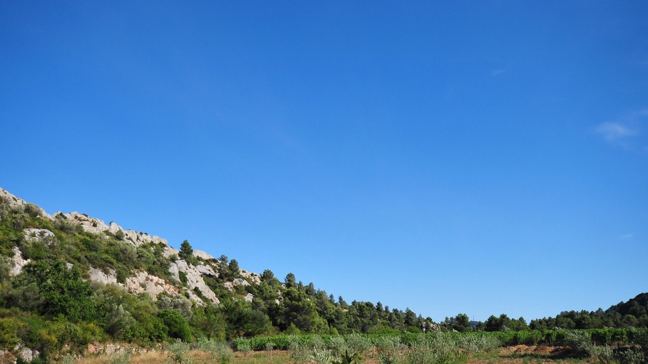 Photo of Others in Thezan-des-Corbieres