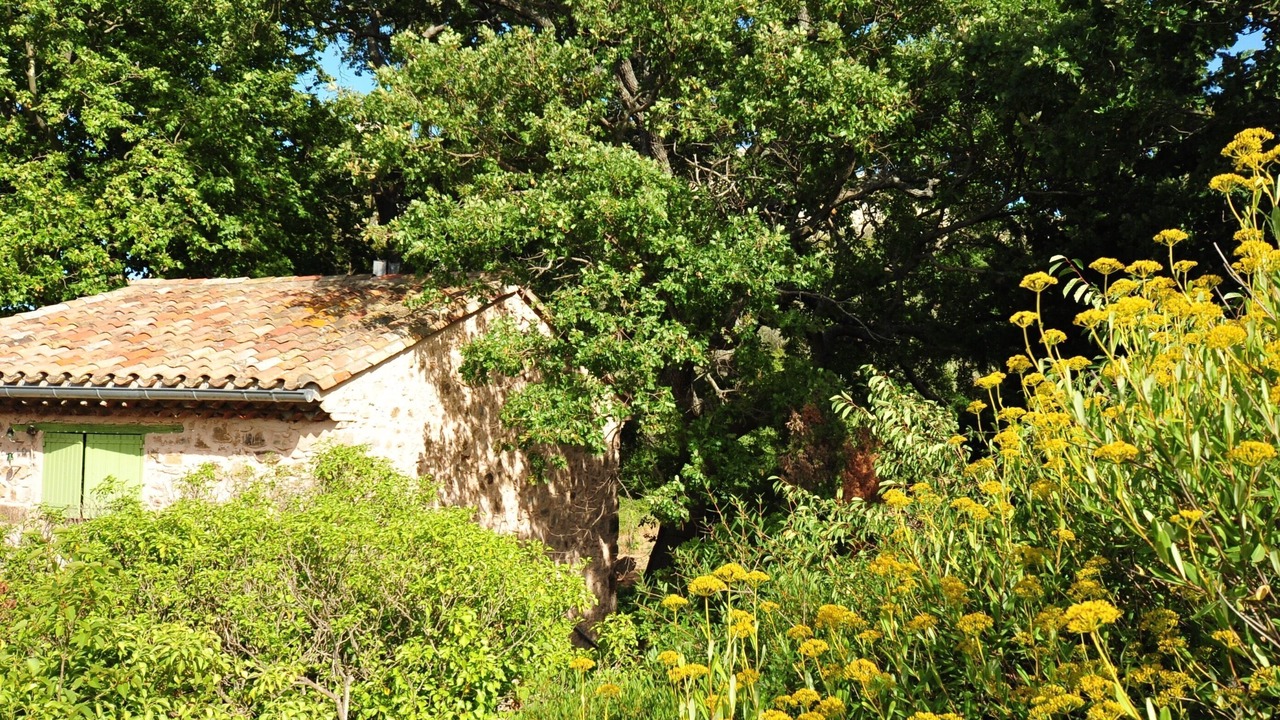 Photo of Outdoor in Thezan-des-Corbieres