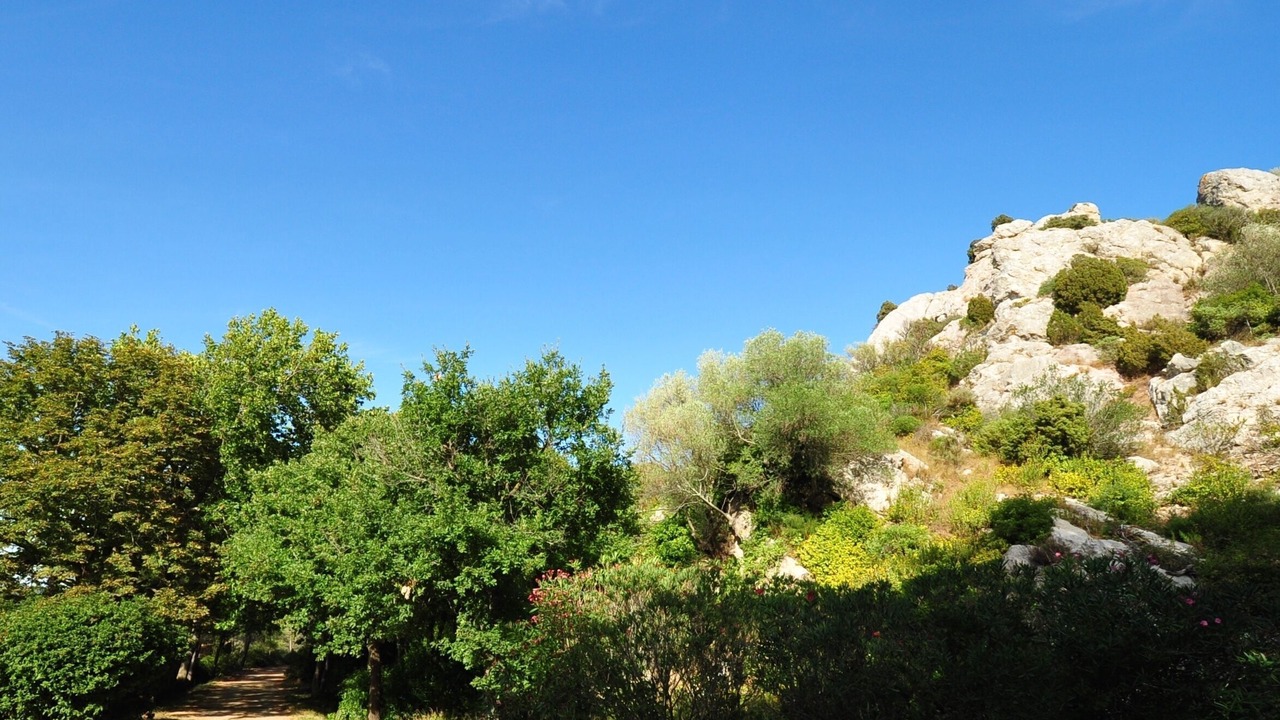 Photo of Others in Thezan-des-Corbieres