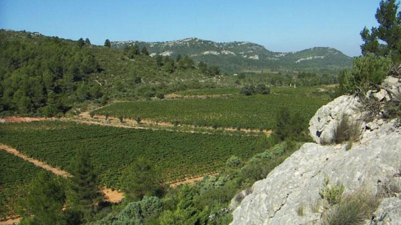 Photo of Others in Thezan-des-Corbieres