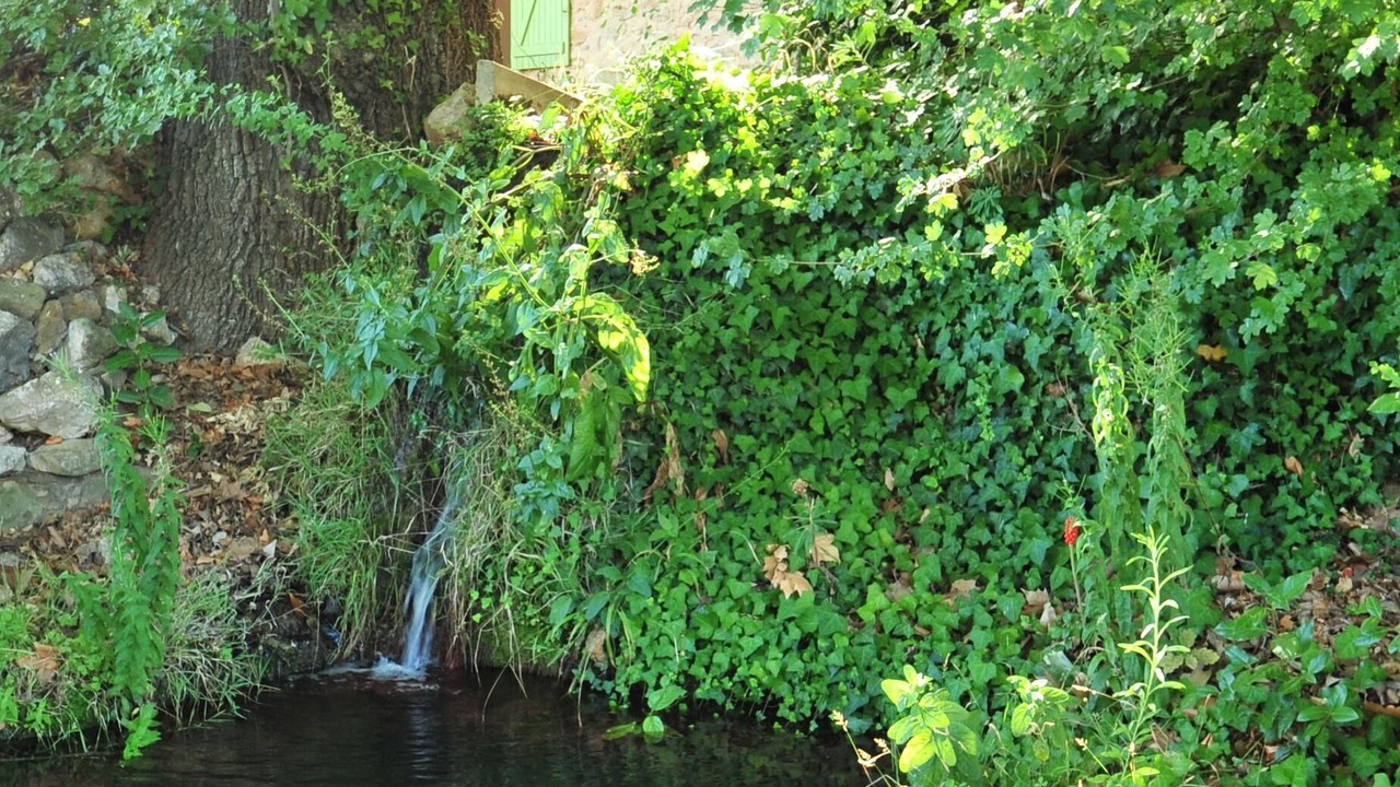 Photo of Outdoor in Thezan-des-Corbieres