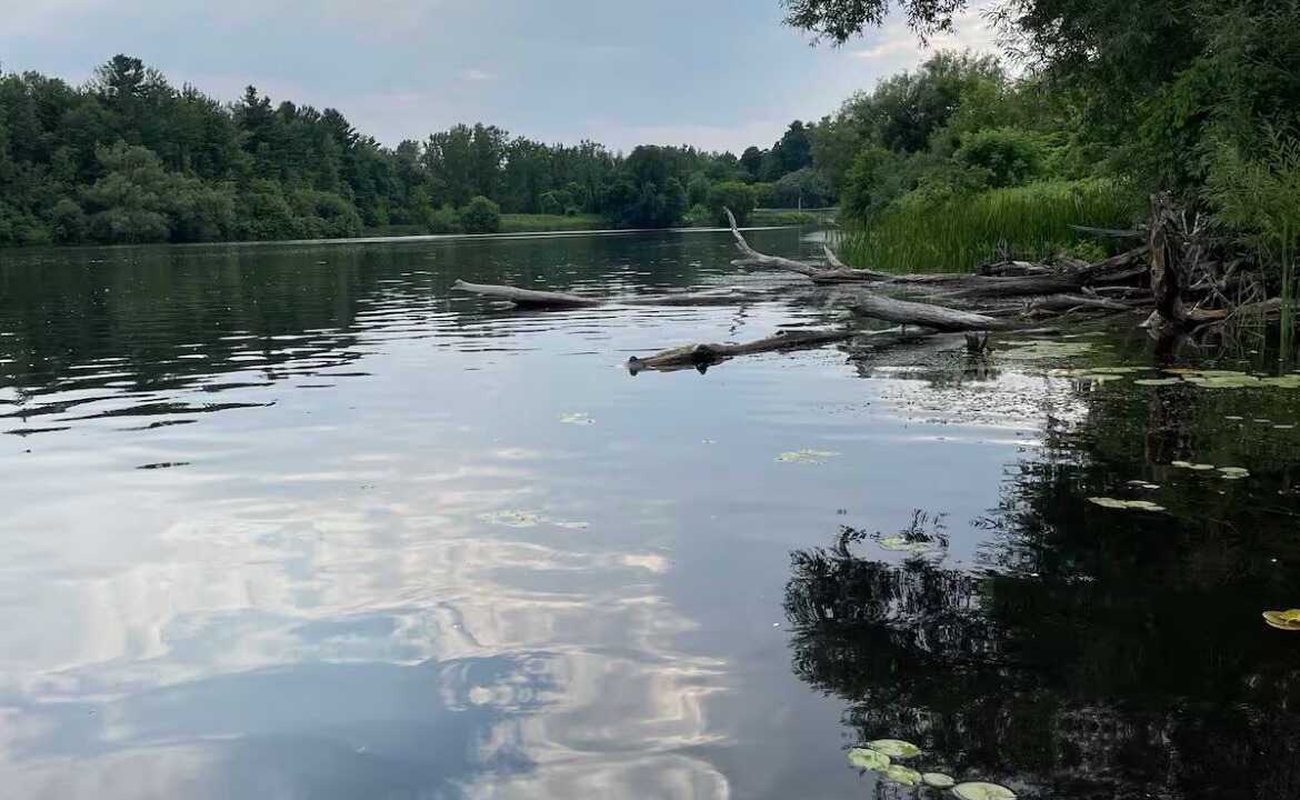 Photo of Others in Massena