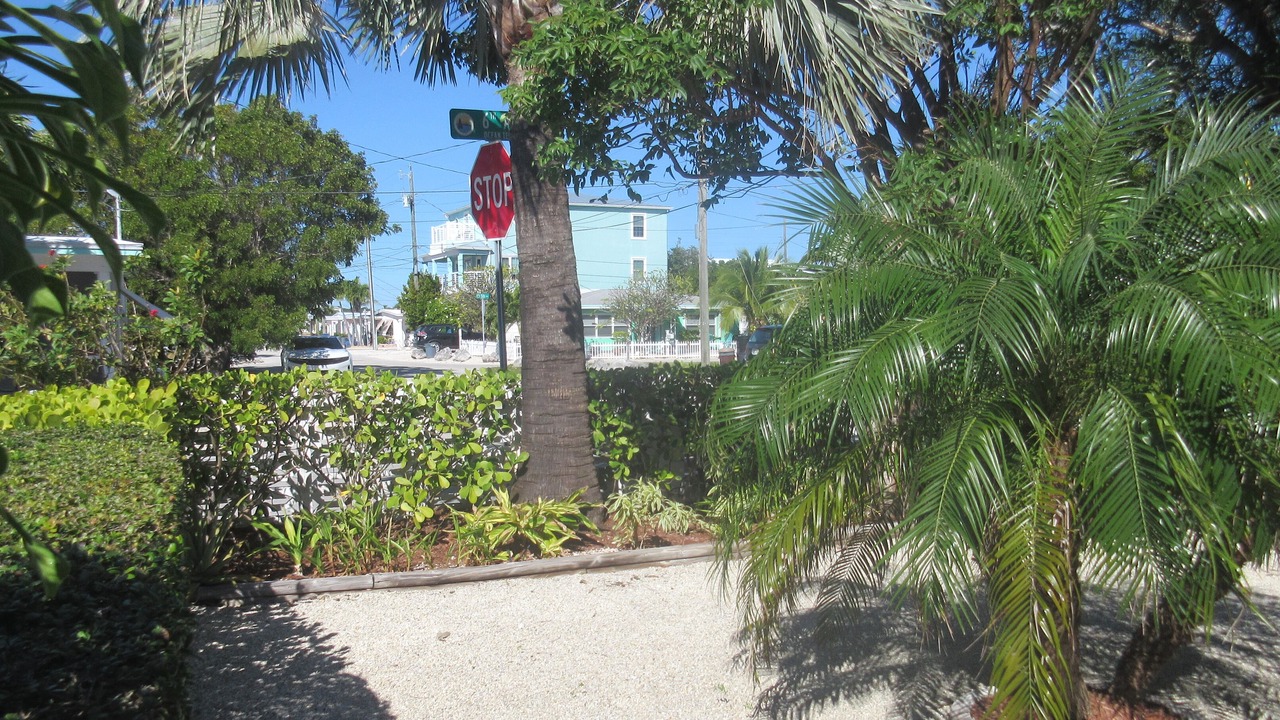 Photo of Outdoor in Little Venice