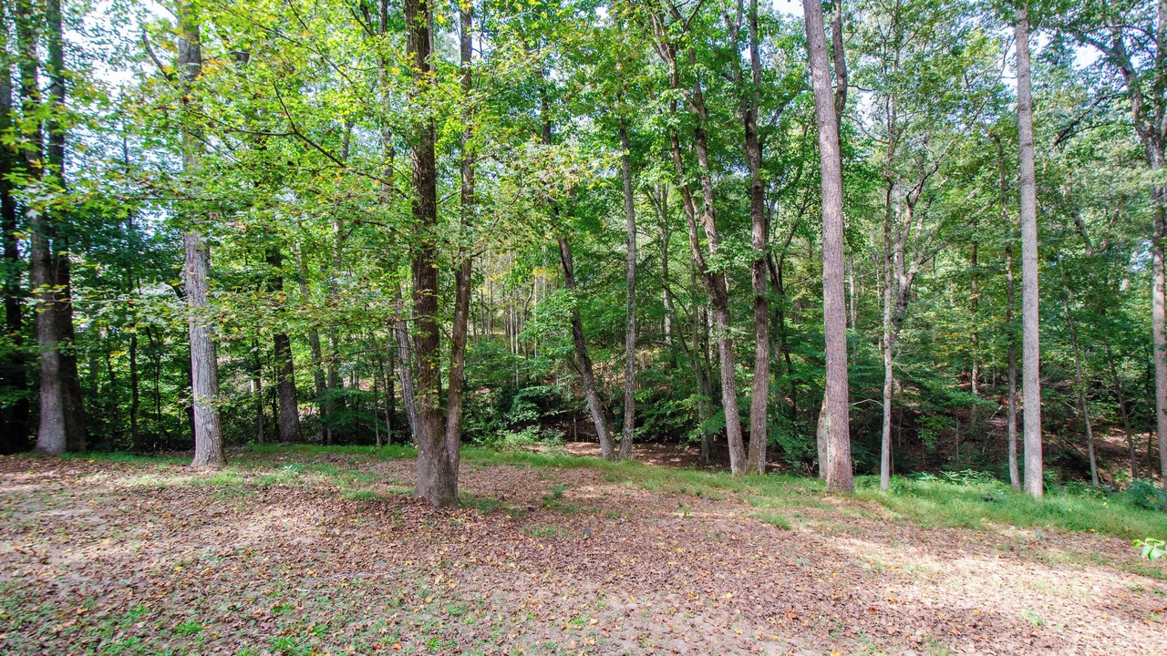 Photo of Others in Buford