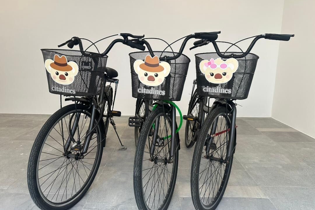 Photo of Outdoor in Downtown George Town