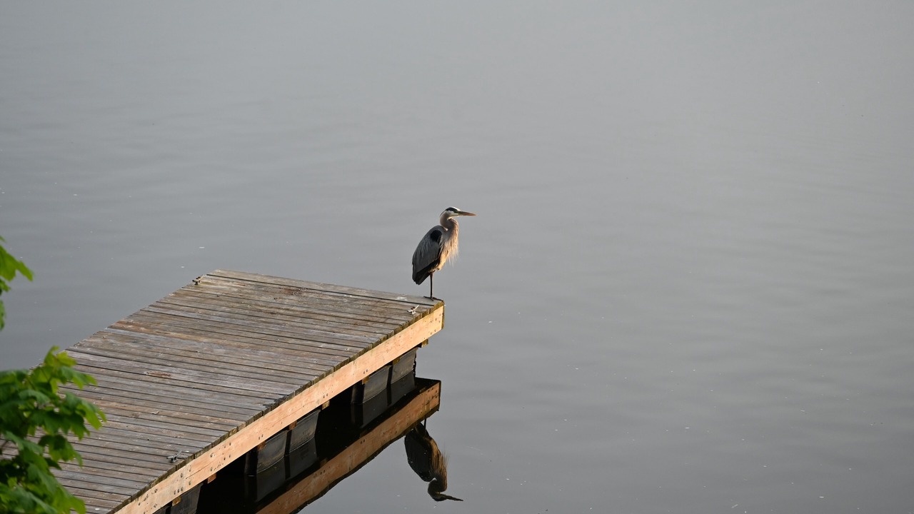Photo of Others in Leeds and the Thousand Islands