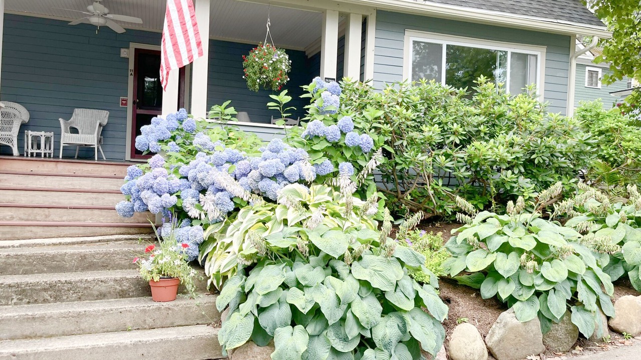 Photo of Outdoor in Chautauqua