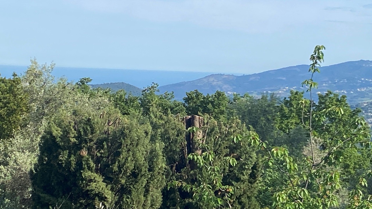 Photo of Others in Cabris