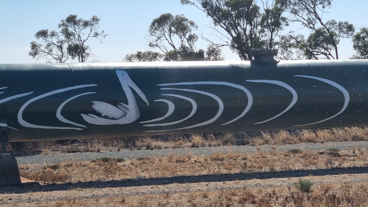 Photo of Others in Mannum