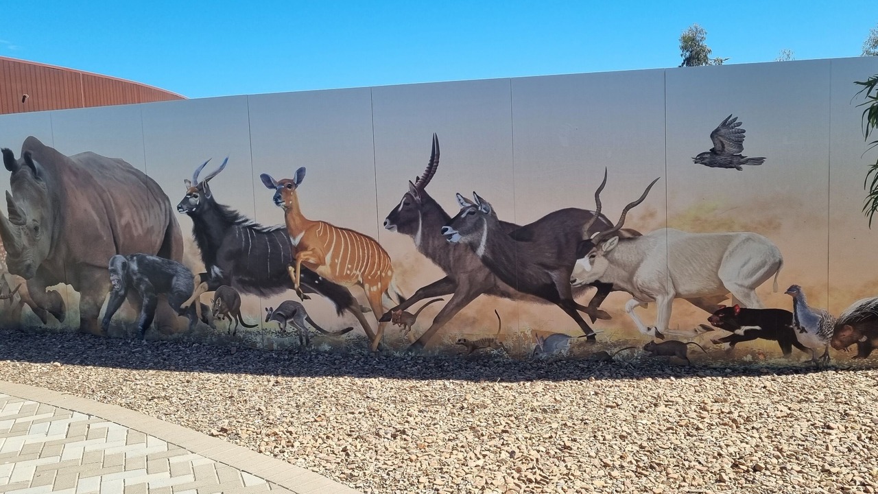 Photo of Others in Mannum