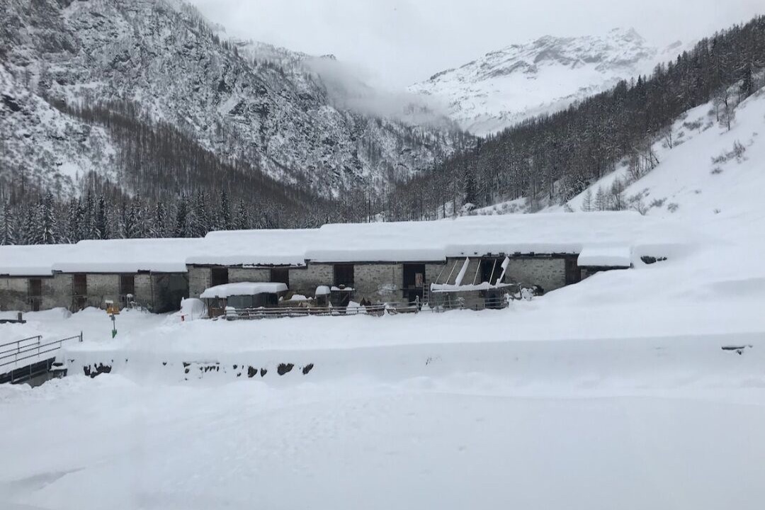 Photo of Others in Bosco Gurin