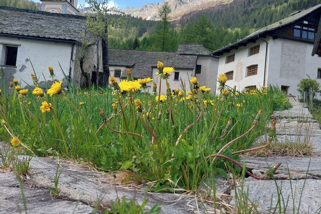 Photo of Outdoor in Bosco Gurin