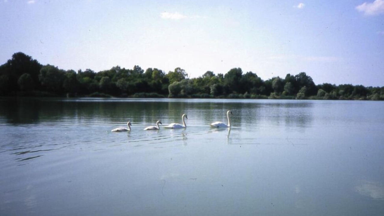 Photo of Others in Bressey-sur-Tille