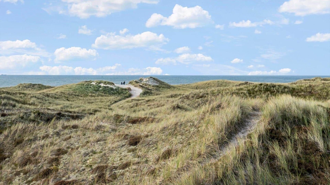 Photo of Others in Houvig Strand