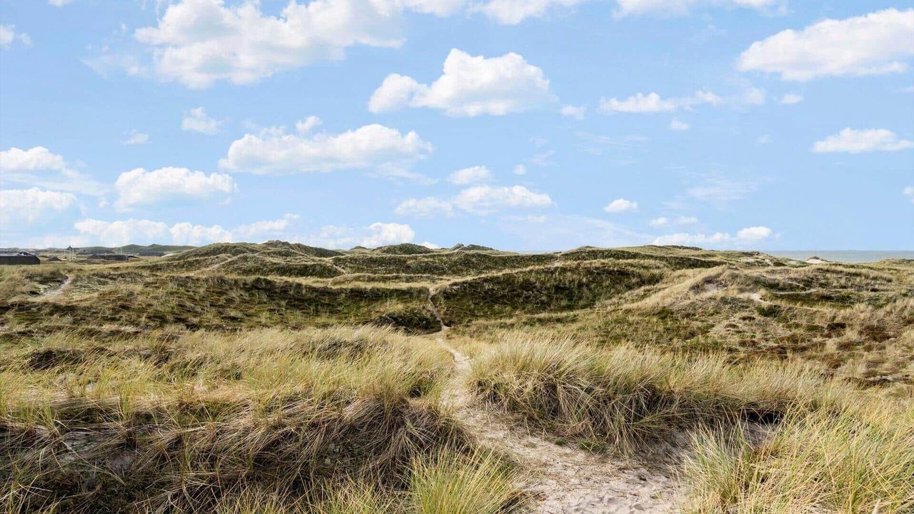 Photo of Others in Houvig Strand