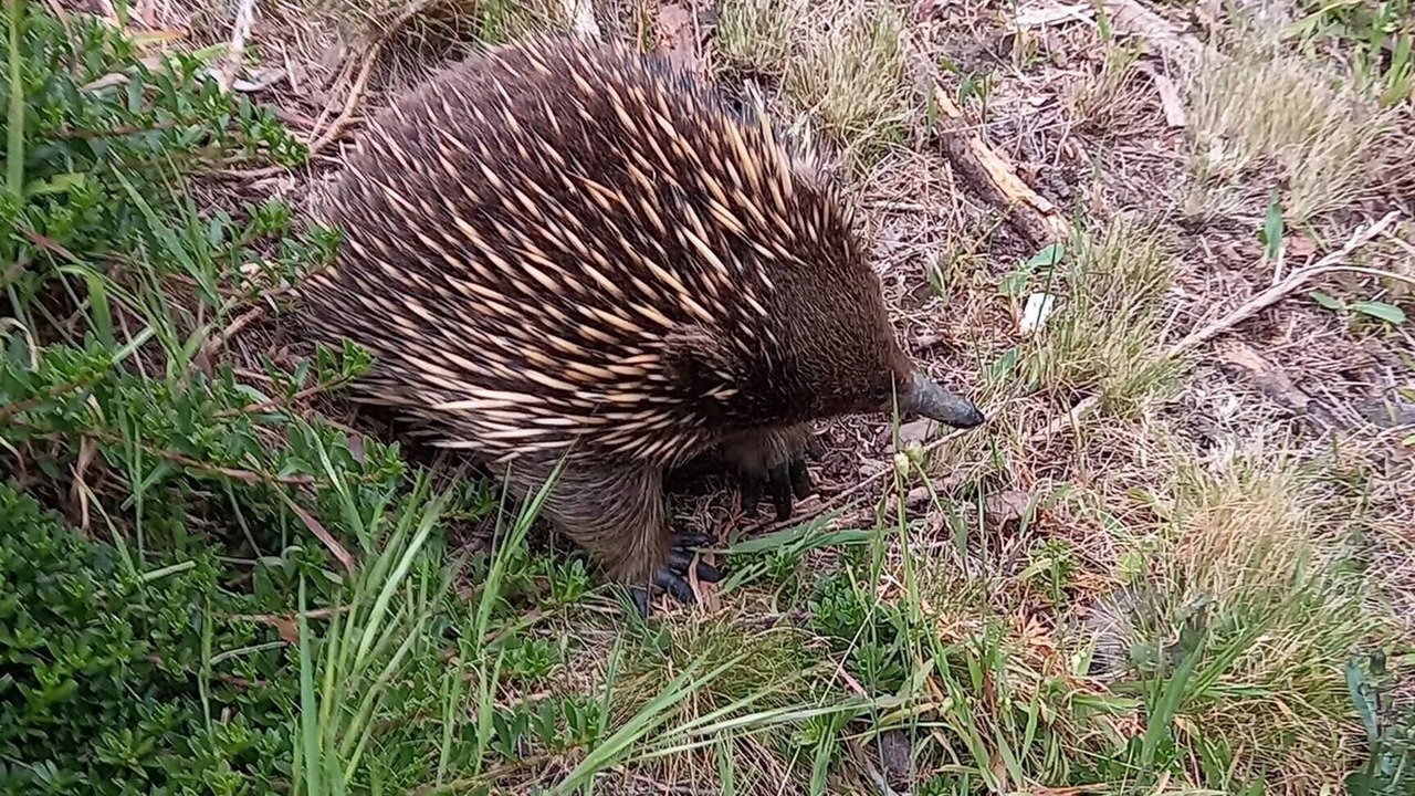 Photo of Others in Fairhaven