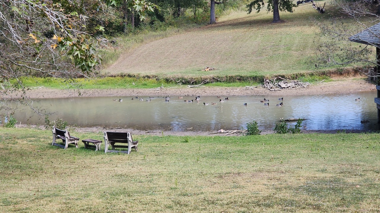 Photo of Others in West Livingston