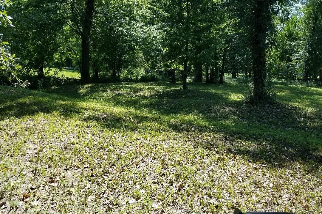 Photo of Others in Lafayette County