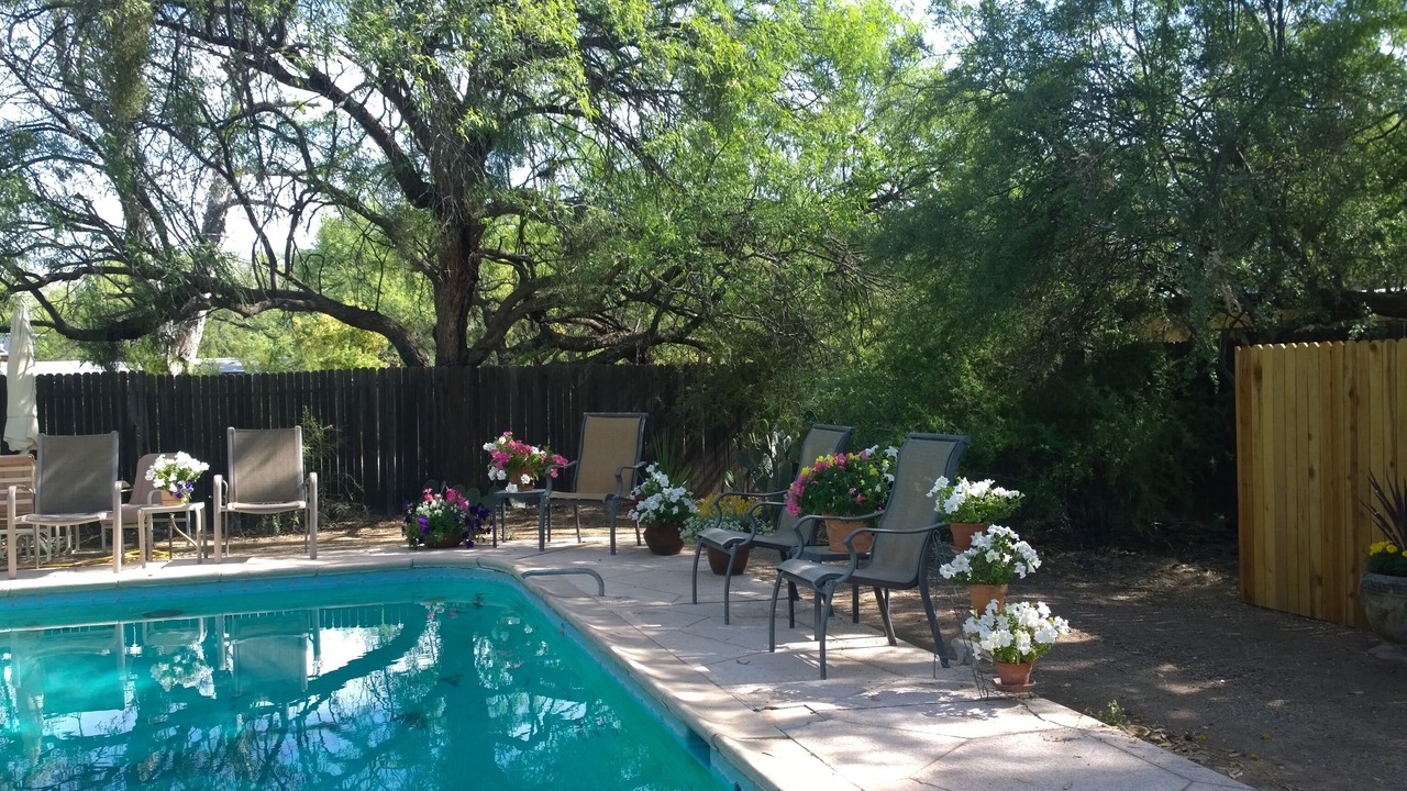 Photo of Outdoor in Tanque Verde