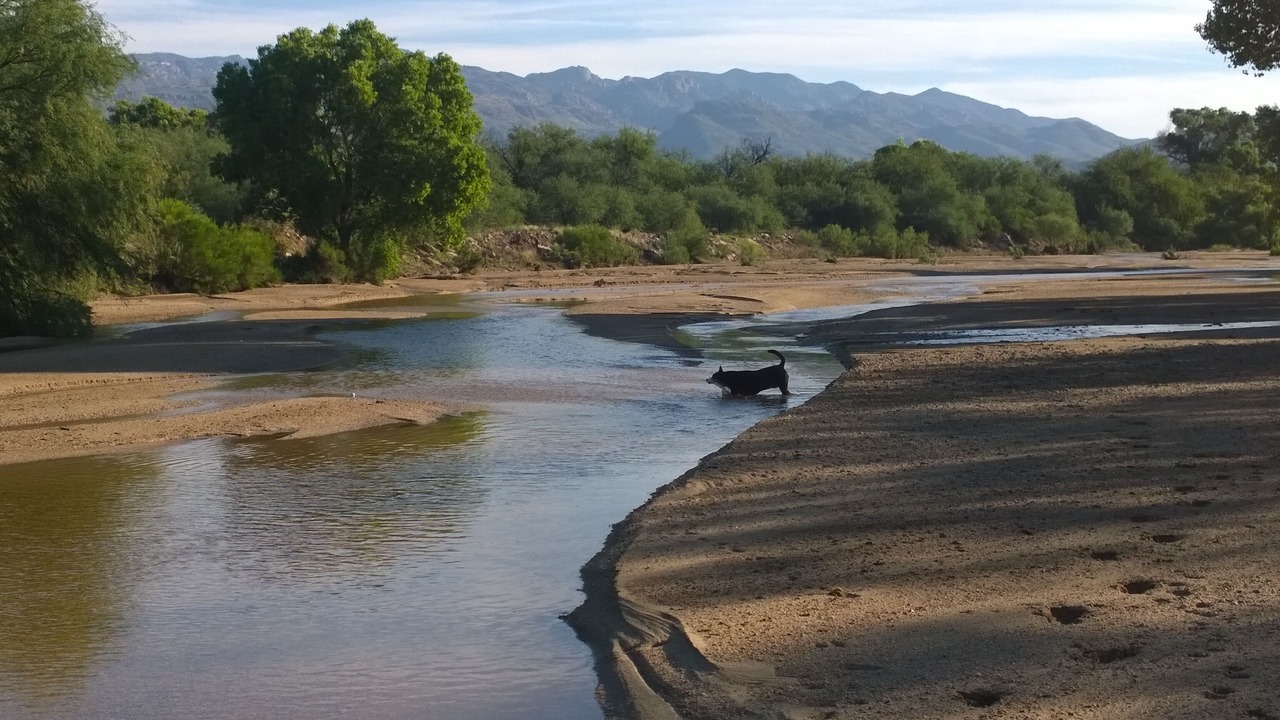 Photo of Others in Tanque Verde